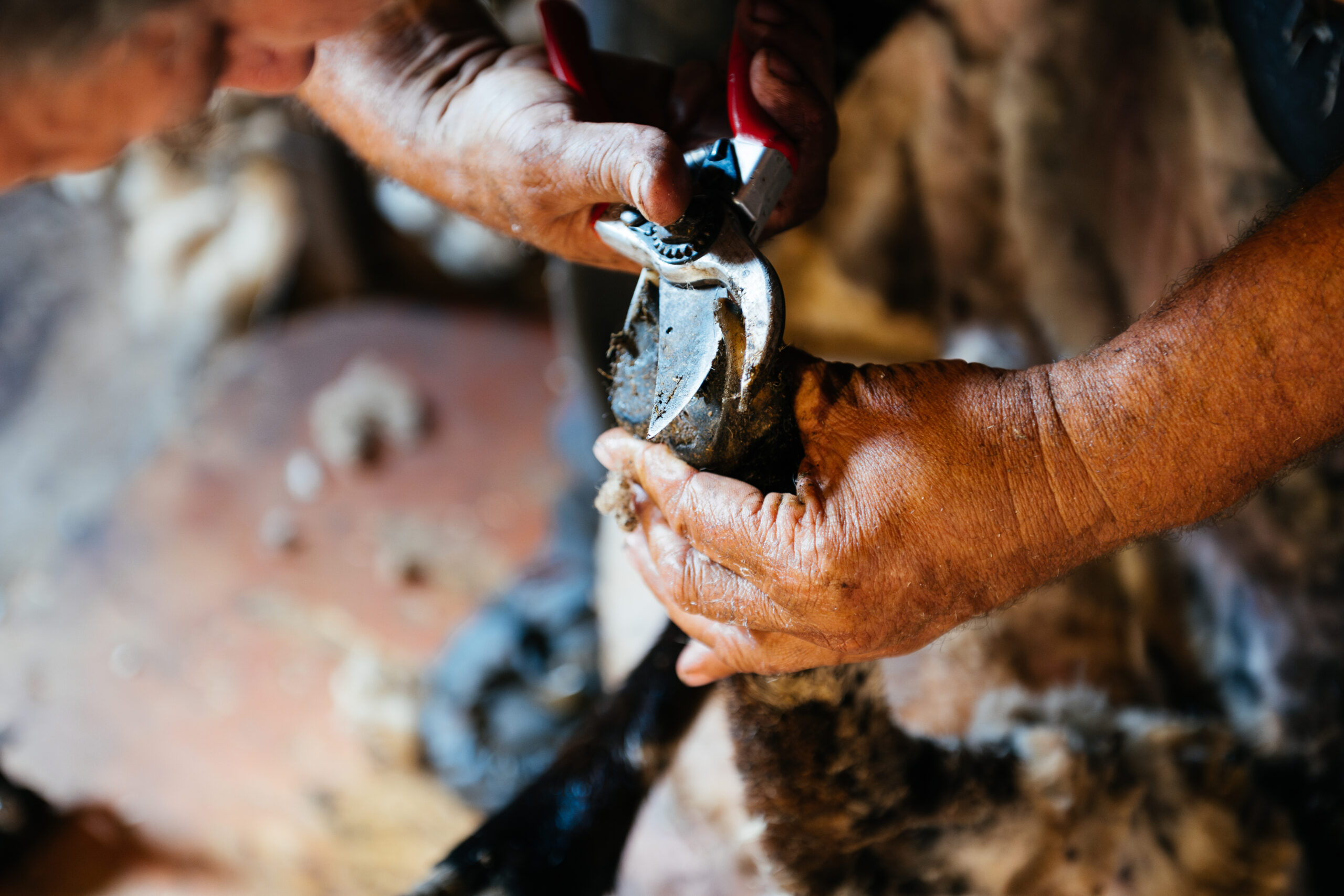 A close-up photo of a mechanic's hands, covered in oil and grime, delicately repairing a small watch mechanism with tweezers. The mechanic's hands are strong and calloused, showing the years of experience.